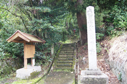 221011熊野神社大杉⑨
