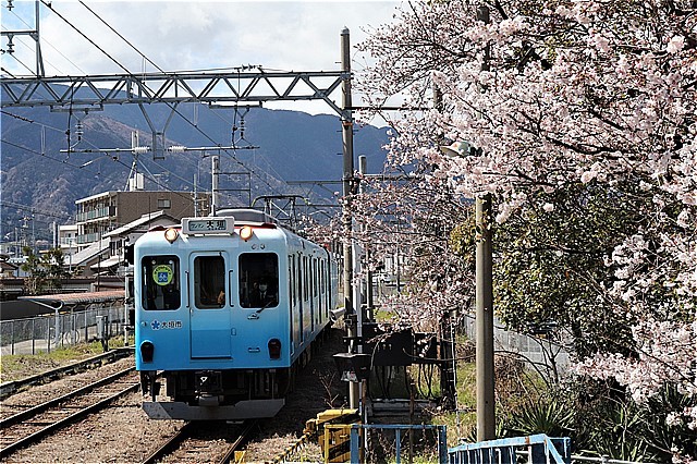 s-③池野駅桜と電車