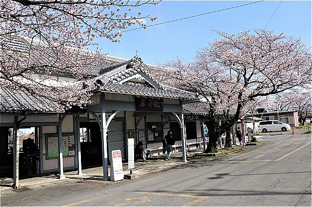 s-㉗養老駅舎桜