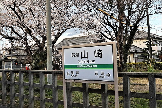 s-㉛美濃山崎桜