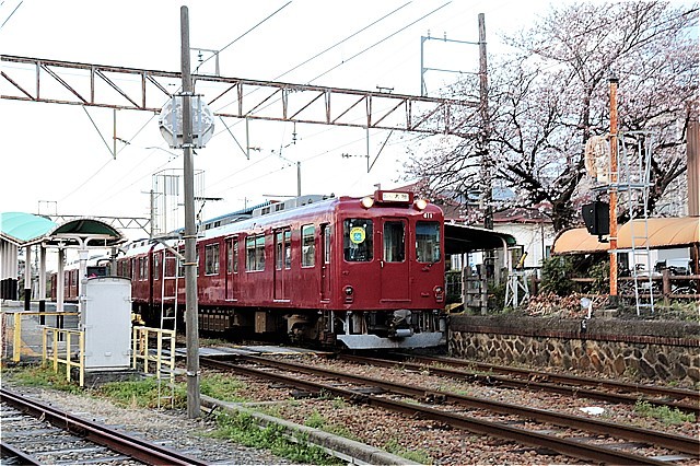 s-㉜多度駅桜と電車