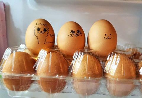 卵　冷蔵庫