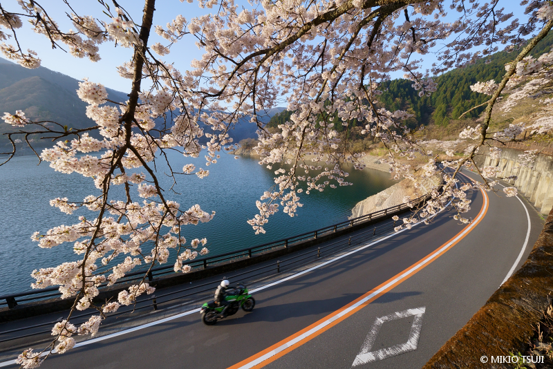 絶景探しの旅 - 絶景写真No.2018 奥多摩湖 桜のツーリング （東京都 奥多摩町）