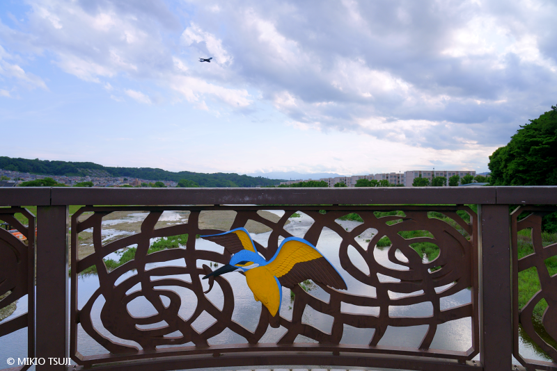 絶景探しの旅 - 絶景写真No.2055 カワセミの川に飛んできたエアフォースワン （東京都 日野市）