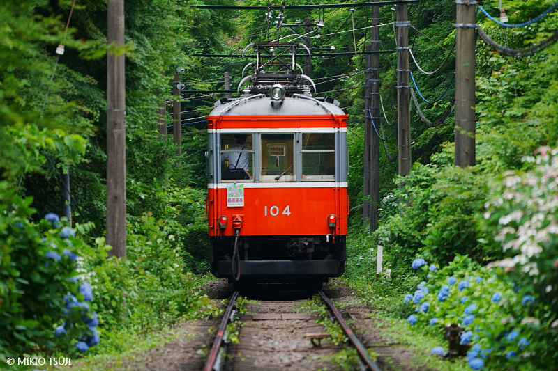 絶景探しの旅 - 絶景写真No.2085 森の中に向かう箱根登山電車 （神奈川県 箱根町）