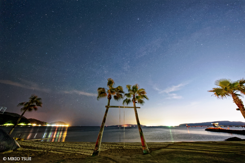 絶景探しの旅 - 絶景写真No.2095 夜の浜辺のヤシの木ブランコ （福岡県 福岡市）